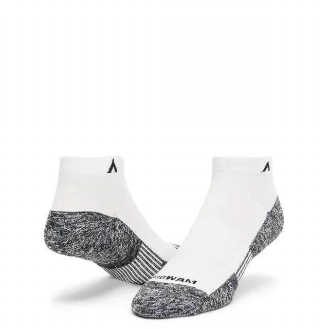 ATTAIN LIGHTWEIGHT LOW - PAST SOCKS