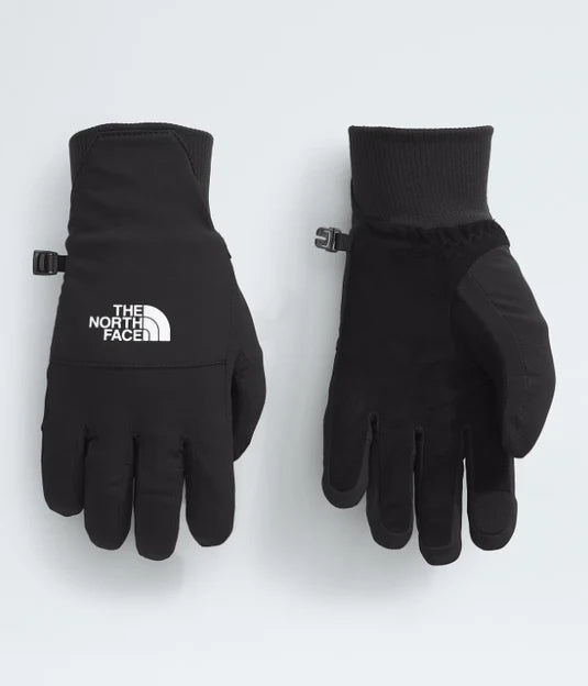 North Face Shelbe Raschel Etip Glove (NF0A888R) Womens 2025